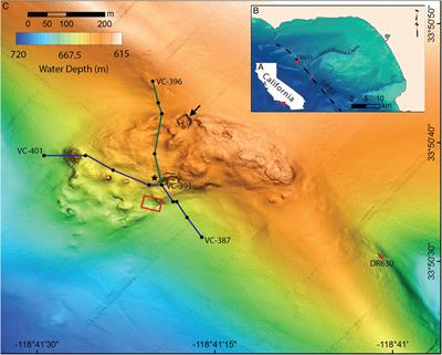 Discovery of an Extensive Deep-Sea Fossil Serpulid Reef Associated With a Cold Seep, Santa Monica Basin, California